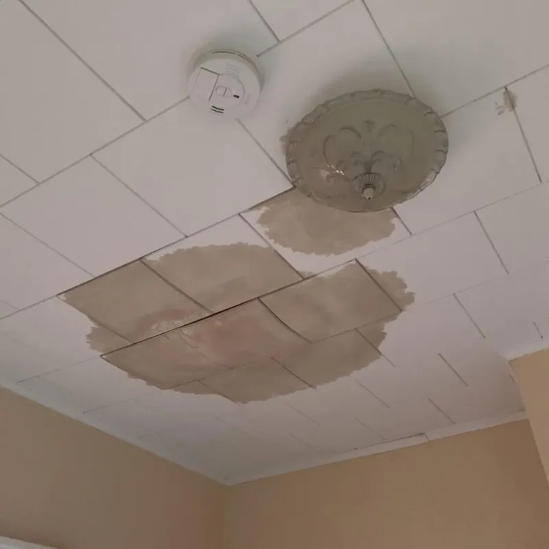 Ceiling Water Damage Repair in Breckenridge, TX