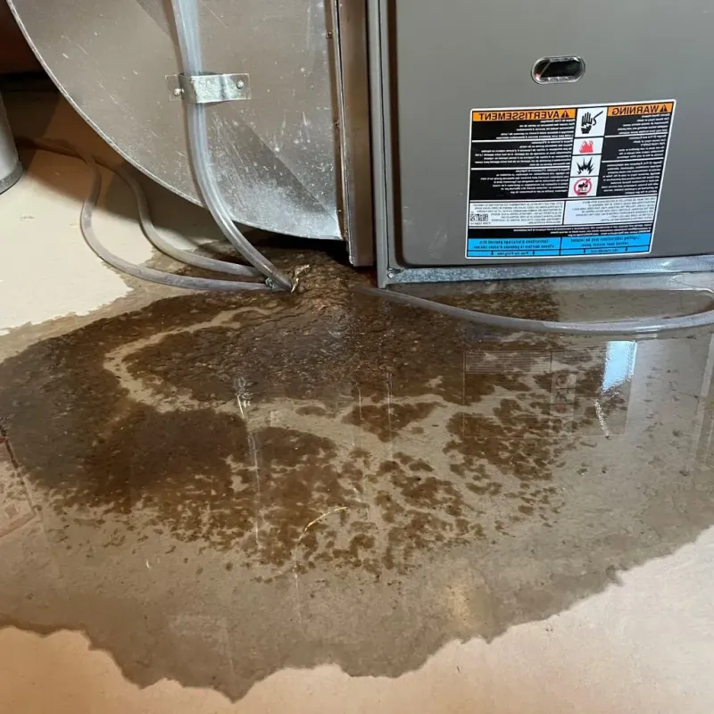 Pipe Burst and Leak Restoration in Breckenridge, TX