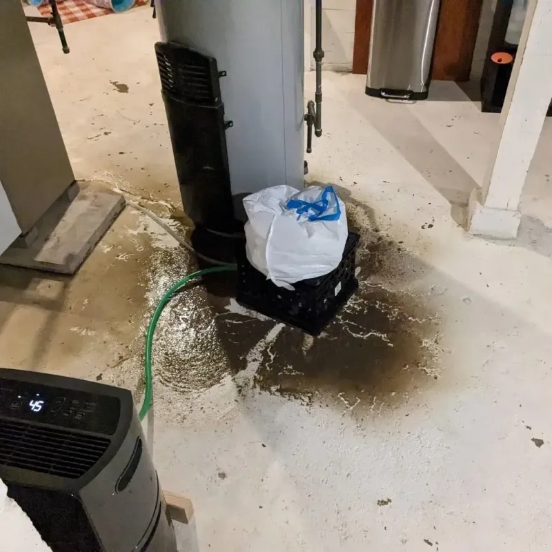 Sewage Backup Cleanup Service in Breckenridge, TX